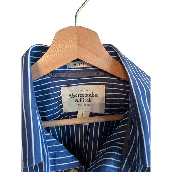 Abercrombie & Fitch Blue Striped Long Sleeve Dress Shirt Muscle Fit Men's Size L - Picture 2 of 5